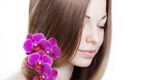 , Organic Hair Treatments For Homemade Hair Care Tips, #Bizwhiznetwork.com Innovation &Lambda;Ｉ