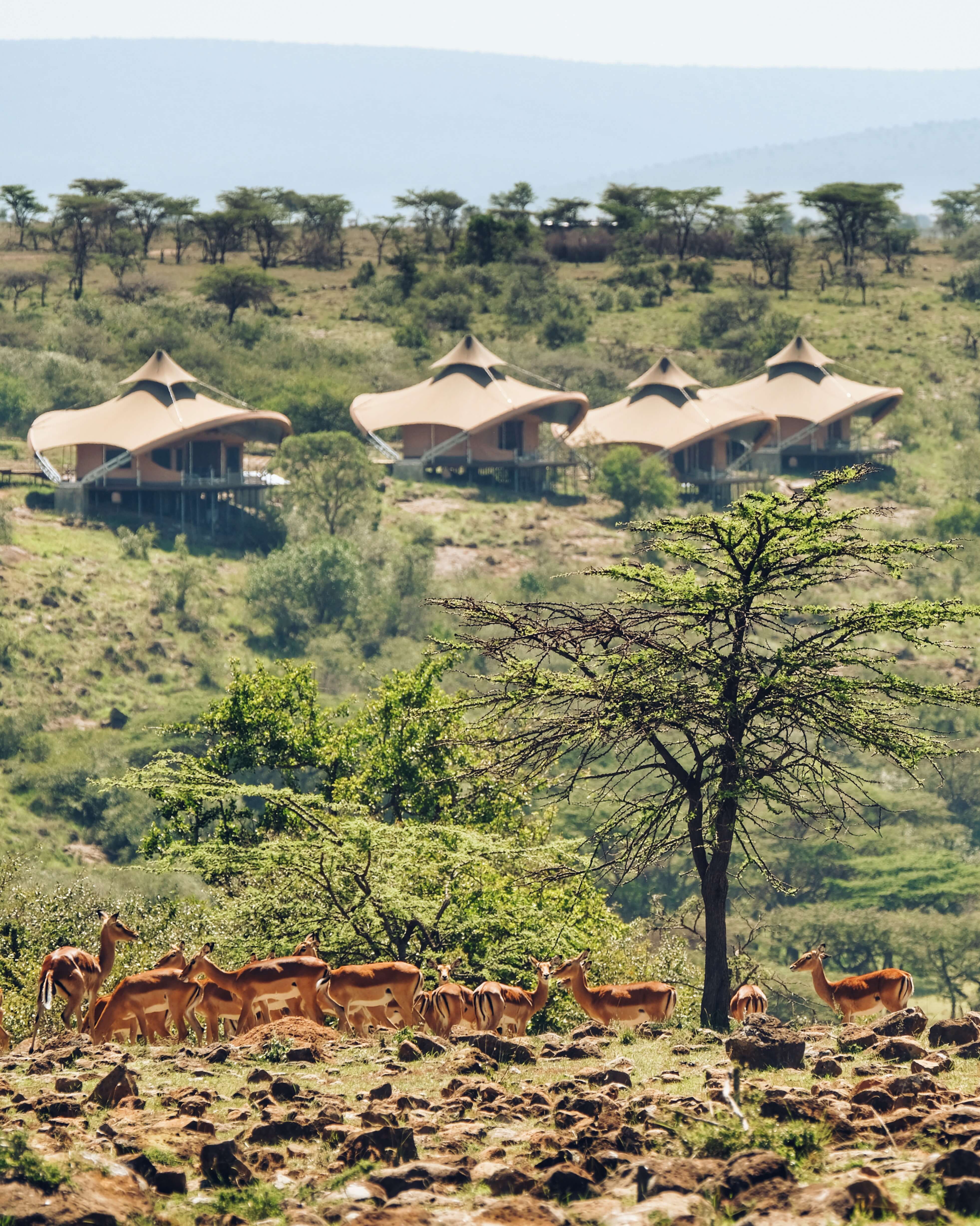 hotel in kenya
