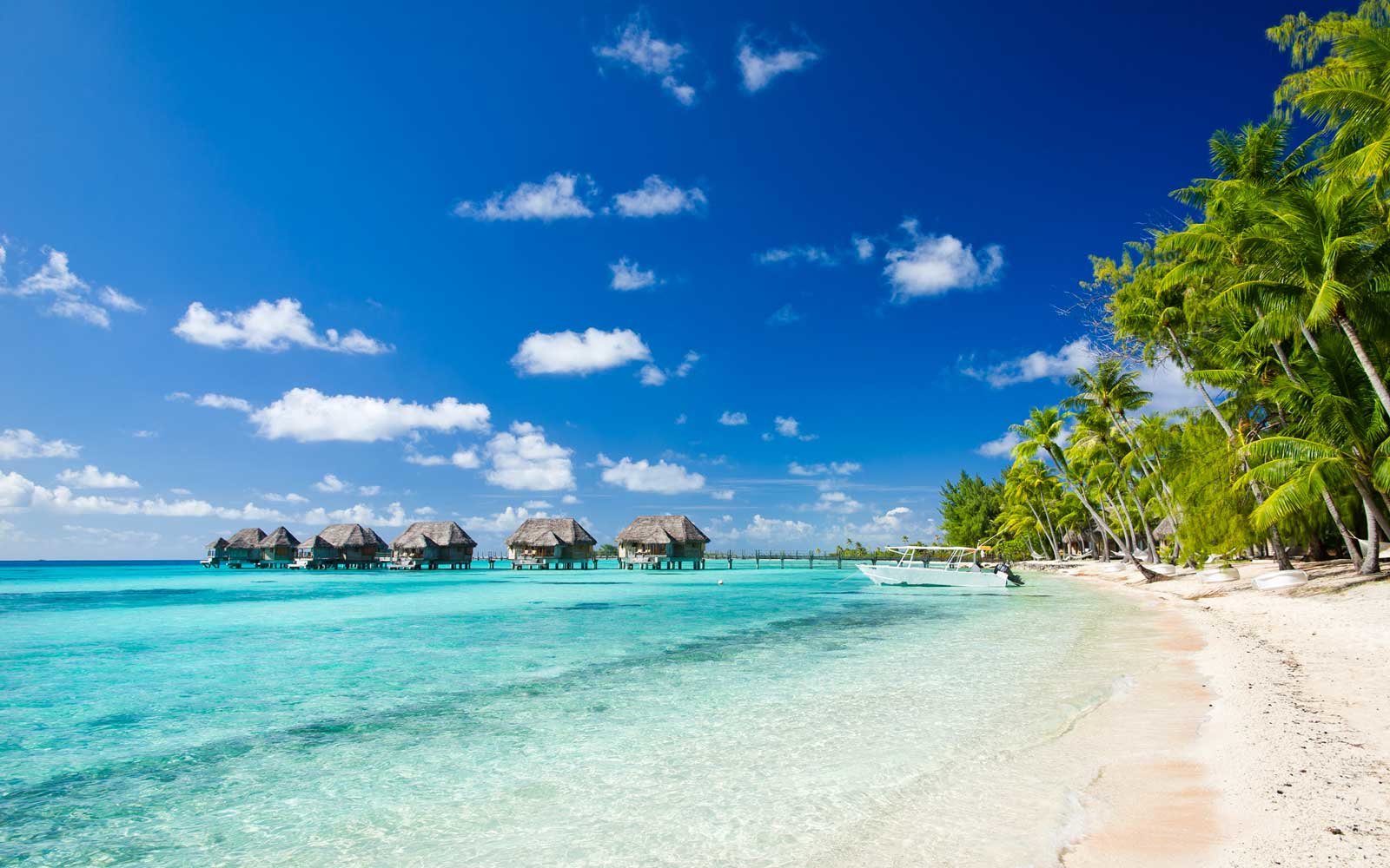 , You Can Get a Flight to Tahiti for Half Off Right Now, #Bizwhiznetwork.com Innovation ΛI