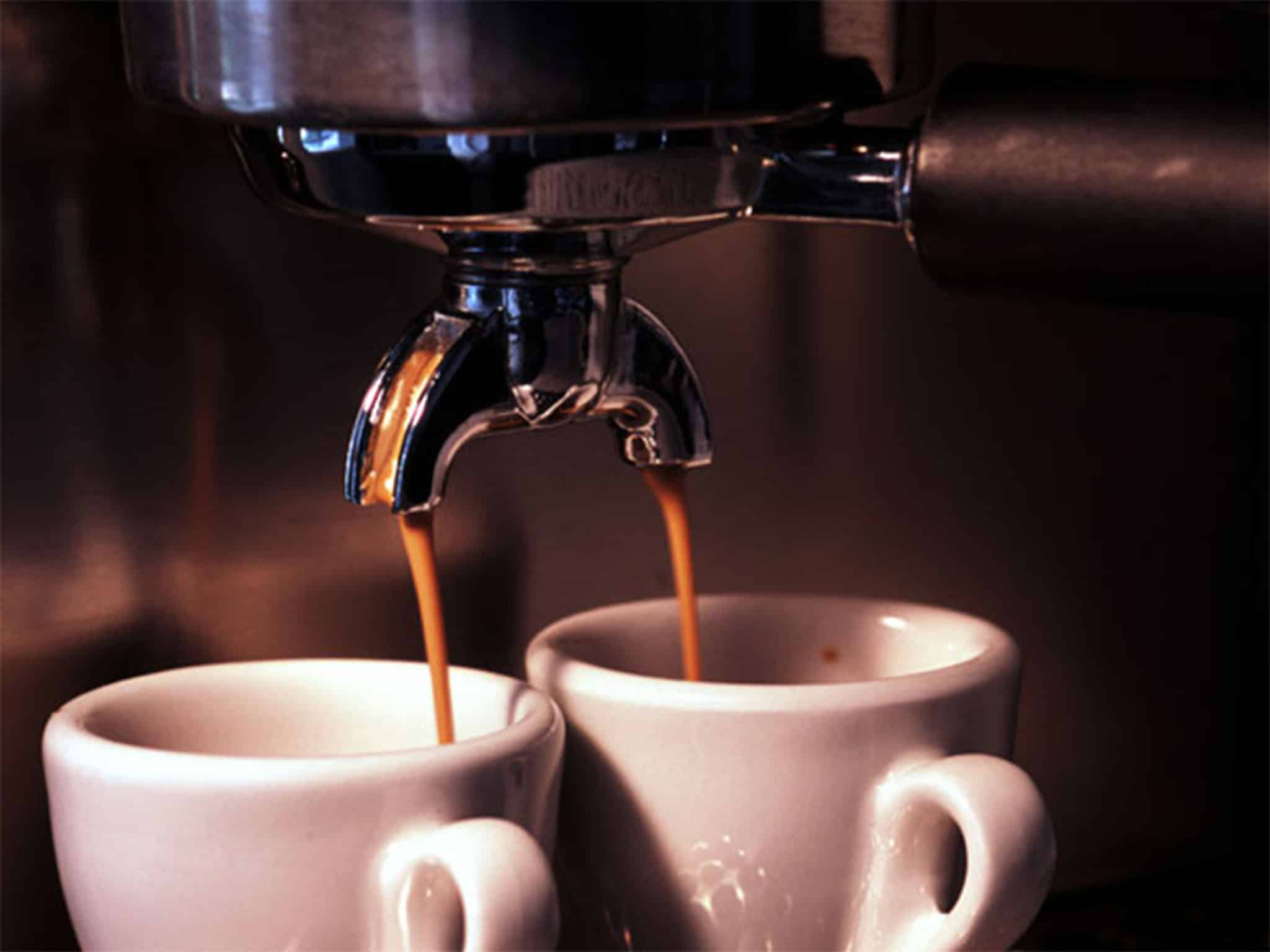 , Morning Brew is a daily business briefing built for millennials, #Bizwhiznetwork.com Innovation &Lambda;Ｉ