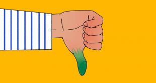 , Lawns Are an Ecological Disaster, #Bizwhiznetwork.com Innovation &Lambda;Ｉ