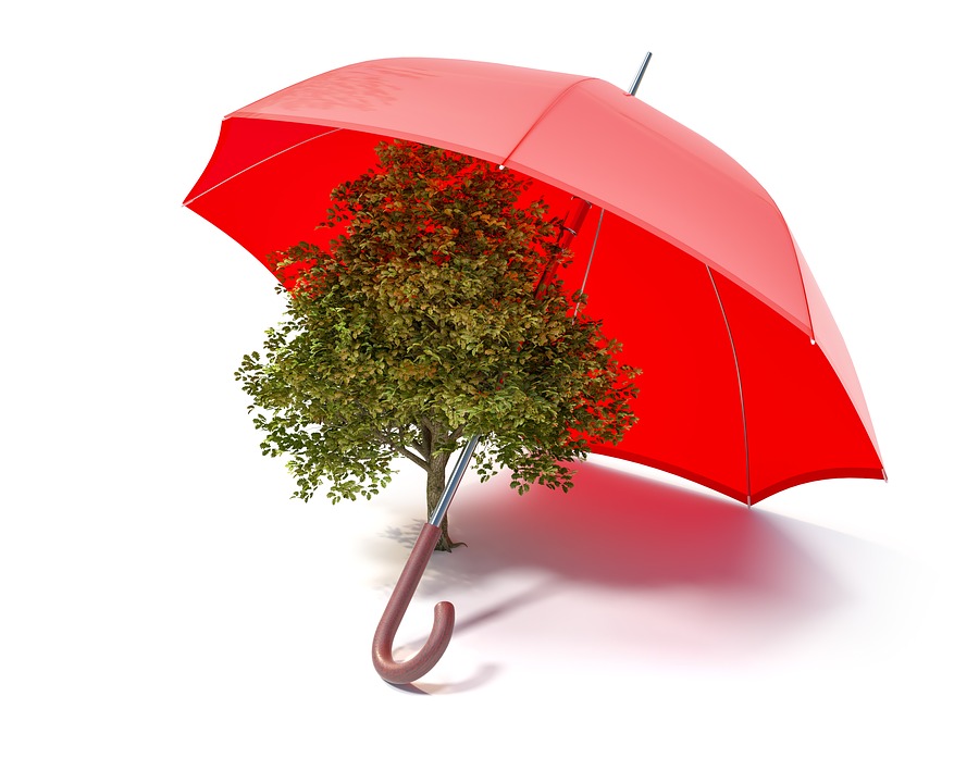 , How to Protect Your Retirement from Inflation (It May Be Rearing Its Ugly Head), #Bizwhiznetwork.com Innovation ΛI