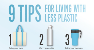 , 9 tips for dealing with less plastic – Less Plastic, #Bizwhiznetwork.com Innovation &Lambda;Ｉ