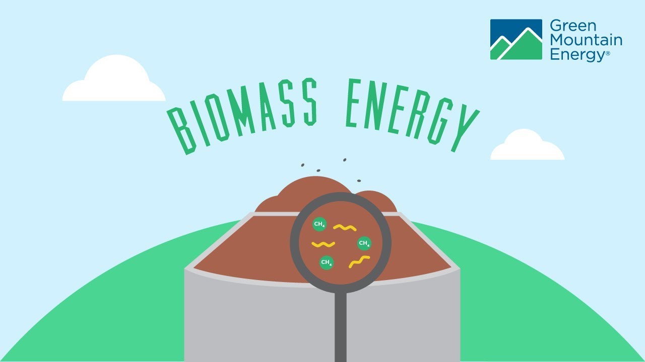 , 7 Types of Renewable Energy: The Future of Energy, #Bizwhiznetwork.com Innovation &Lambda;Ｉ