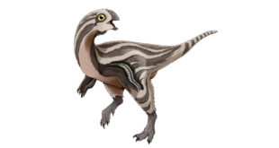new-dinosaur-species-uncovered-in-mongolia