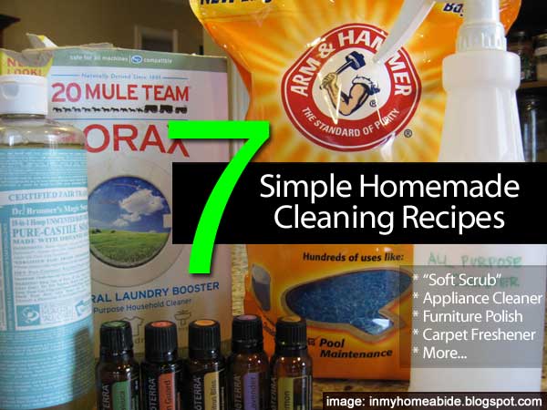 , Pest Control at Home: 7 Simple DIY Solutions, #Bizwhiznetwork.com Innovation ΛＩ