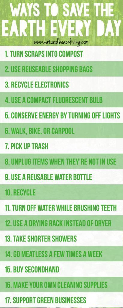 , The Top 9 Environmentally Friendly Tips to Save the Planet, #Bizwhiznetwork.com Innovation ΛI