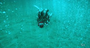, Deep diving scientists discover bubbling CO2 hotspot, #Bizwhiznetwork.com Innovation &Lambda;Ｉ