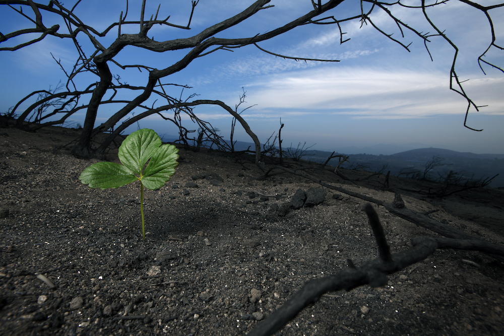, Environment In Decades, #Bizwhiznetwork.com Innovation &Lambda;Ｉ
