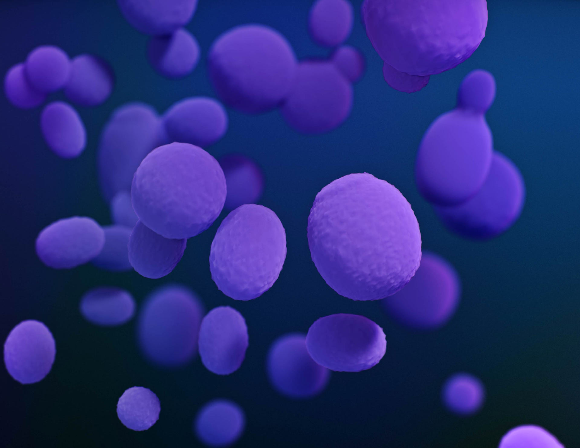 , Pathogenic Fungi, #Bizwhiznetwork.com Innovation &Lambda;Ｉ