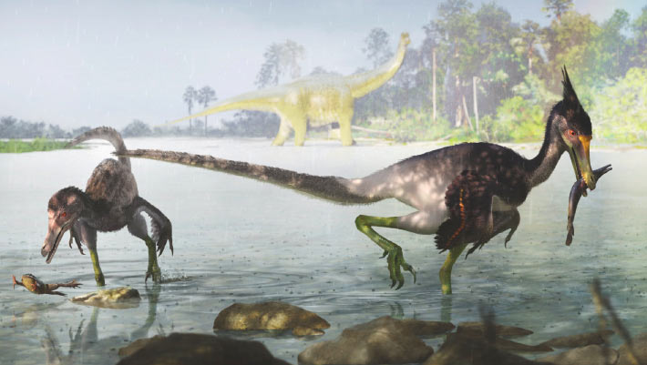 , New Feathered Dinosaur, #Bizwhiznetwork.com Innovation &Lambda;Ｉ