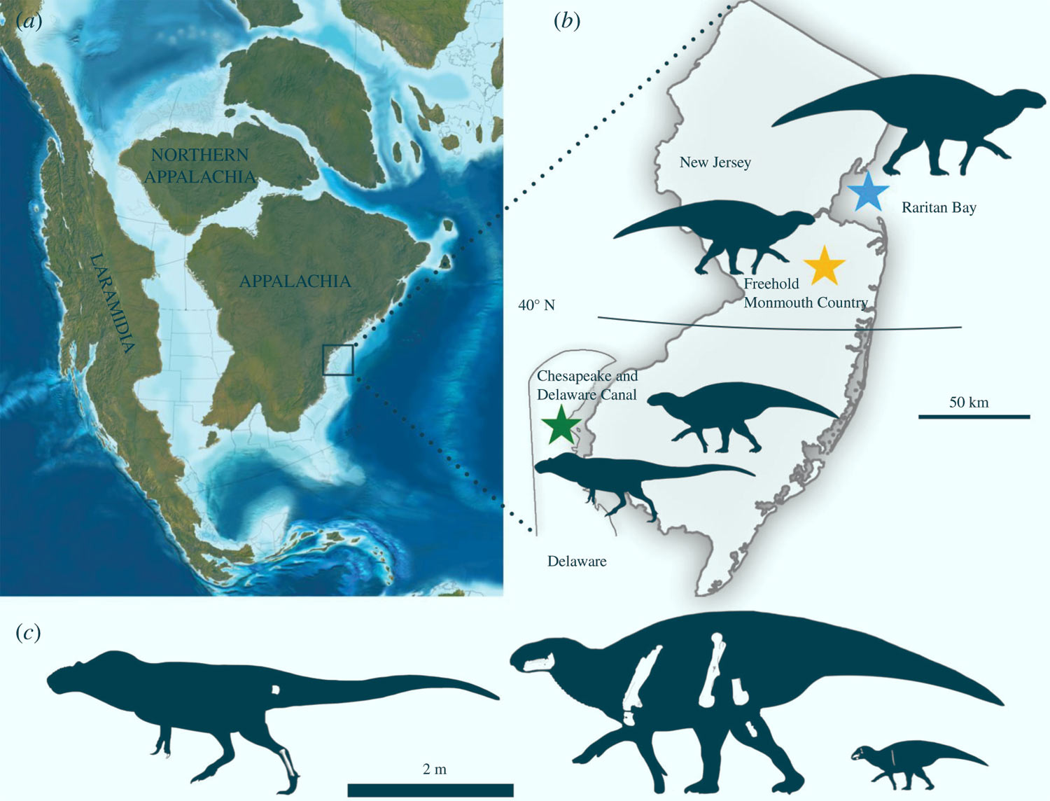 , Appalachian Dinosaurs, #Bizwhiznetwork.com Innovation &Lambda;Ｉ