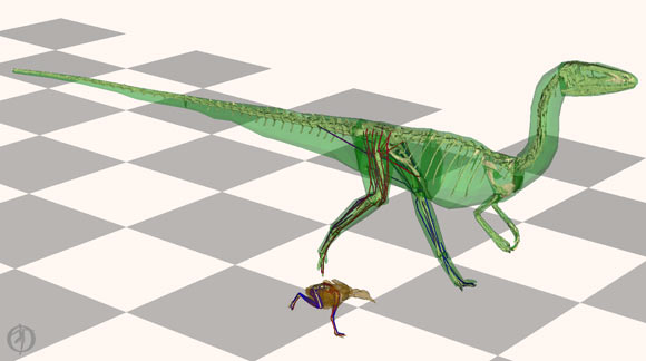 , Bipedal Dinosaurs, #Bizwhiznetwork.com Innovation &Lambda;Ｉ
