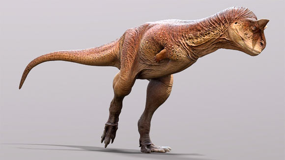 , Carnotaurus Scaly Skin, #Bizwhiznetwork.com Innovation &Lambda;Ｉ