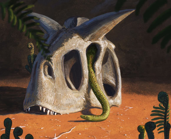 , Modern Snake Diversity, #Bizwhiznetwork.com Innovation &Lambda;Ｉ