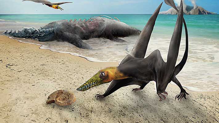 , Jurassic Pterosaur, #Bizwhiznetwork.com Innovation &Lambda;Ｉ