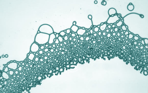 , Toroidal Droplets & Liquid Lattices, #Bizwhiznetwork.com Innovation &Lambda;Ｉ