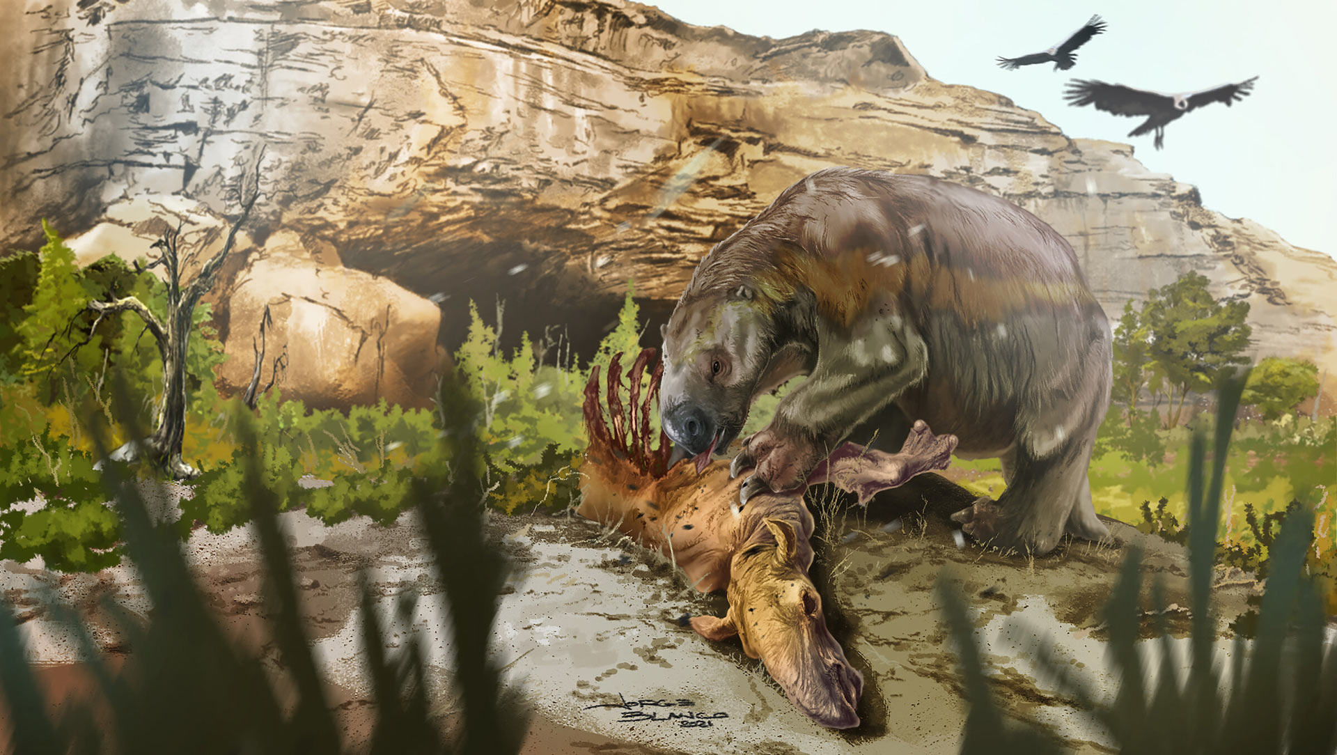 , Darwin&rsquo;s Ground Sloth, #Bizwhiznetwork.com Innovation &Lambda;Ｉ