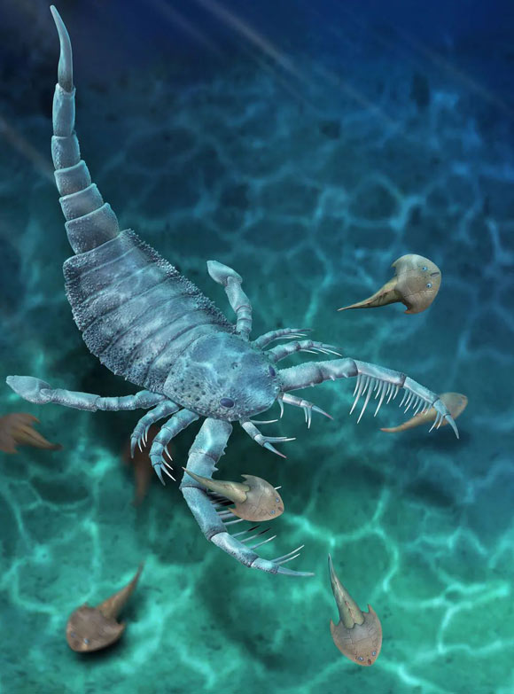 , Giant Sea Scorpion, #Bizwhiznetwork.com Innovation &Lambda;Ｉ