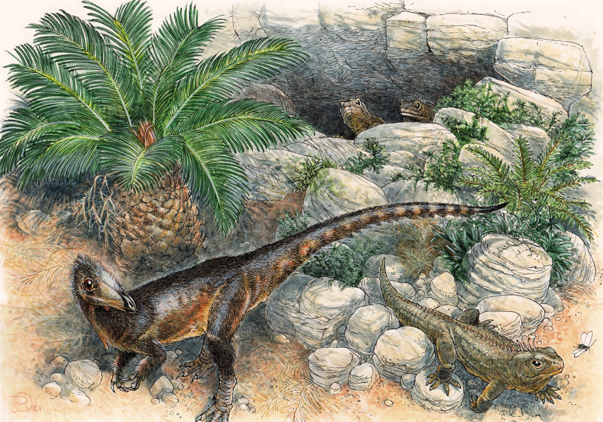 , Dinosaur Unearthed in Wales, #Bizwhiznetwork.com Innovation &Lambda;Ｉ