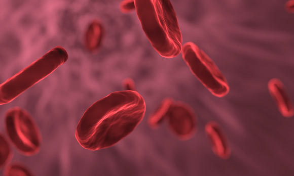 , Red Blood Cells, #Bizwhiznetwork.com Innovation &Lambda;Ｉ