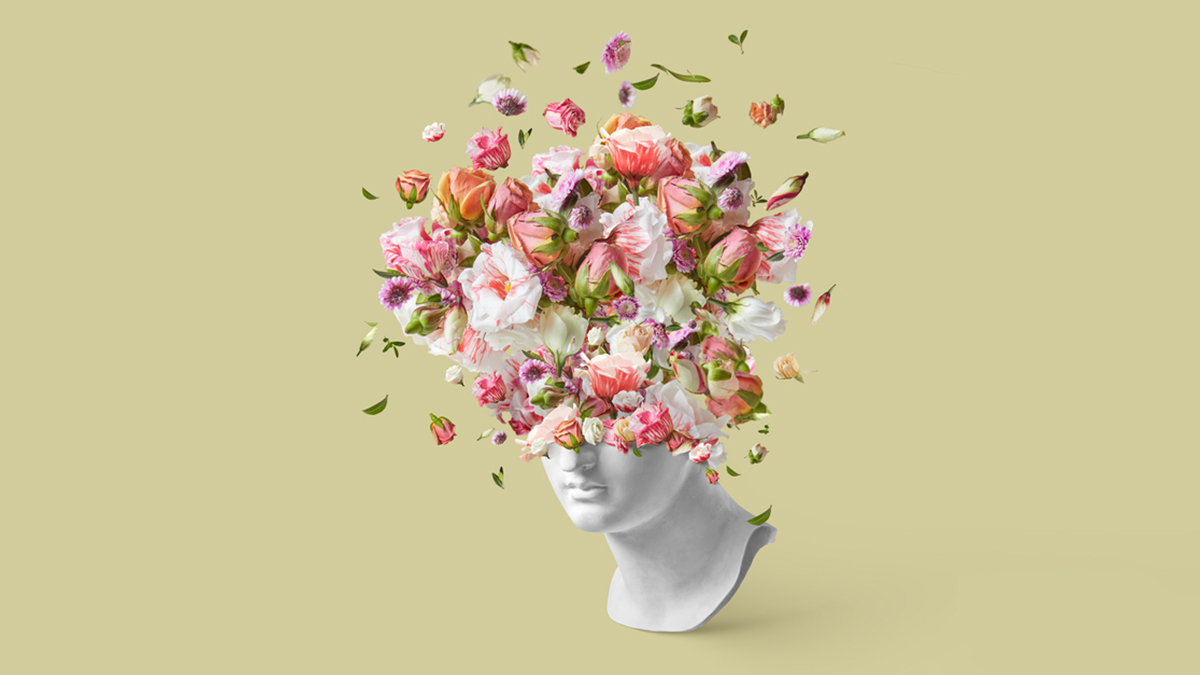 , Common Fallacies In Creativity, #Bizwhiznetwork.com Innovation &Lambda;Ｉ