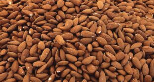 , Almond Consumption, #Bizwhiznetwork.com Innovation &Lambda;Ｉ
