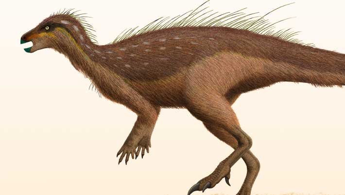 , New Plant Eating Dinosaur Uncovered in Nevada, #Bizwhiznetwork.com Innovation &Lambda;Ｉ
