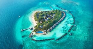 , Taj Coral Reef Resort &amp; Spa gains guest adoration at the Conde Nast Traveller Readers Choice Awards 2023, #Bizwhiznetwork.com Innovation &Lambda;Ｉ